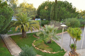 Гостиница Parque das Amendoeiras  Картейра